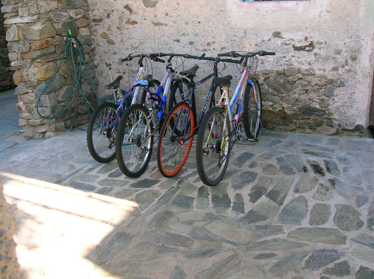 B&B Al Carotin Mantello Esterno foto